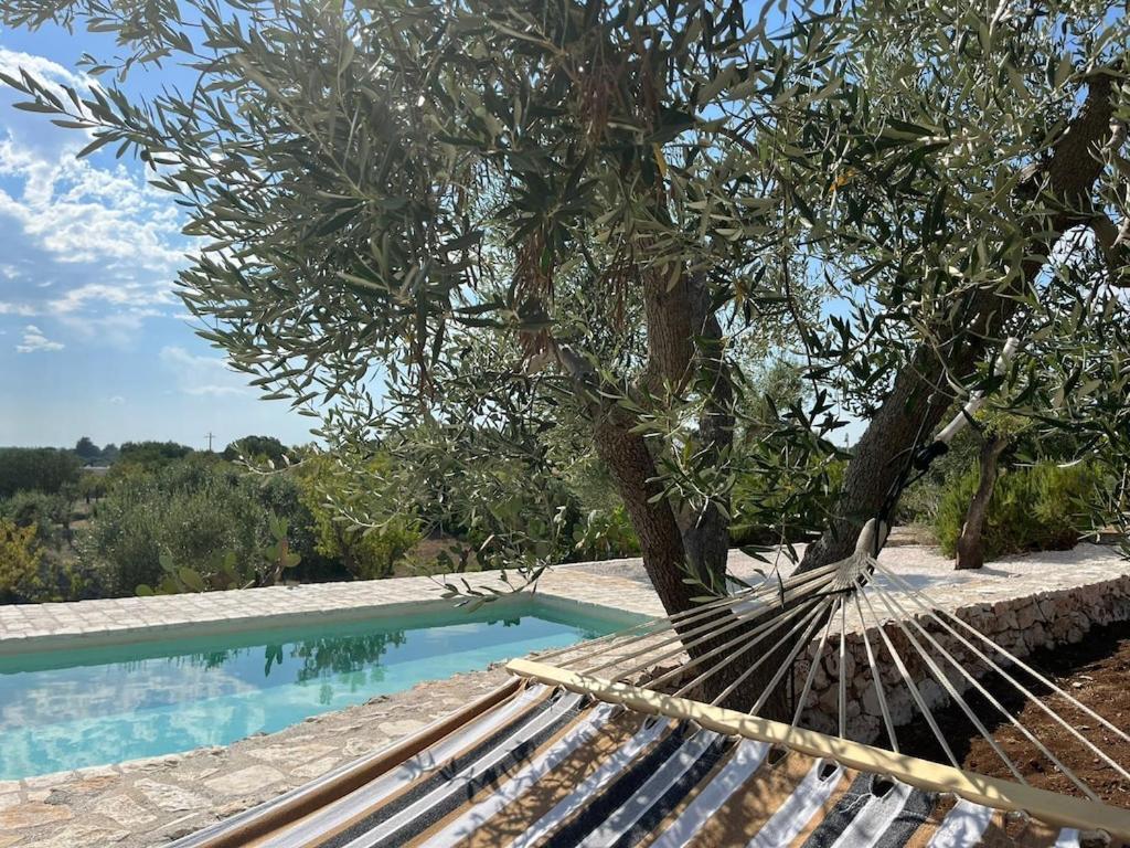 Casa Giuliveto - Charmantes Ferienhaus Mit Privatpool In Olivenhain 奥斯图尼 外观 照片